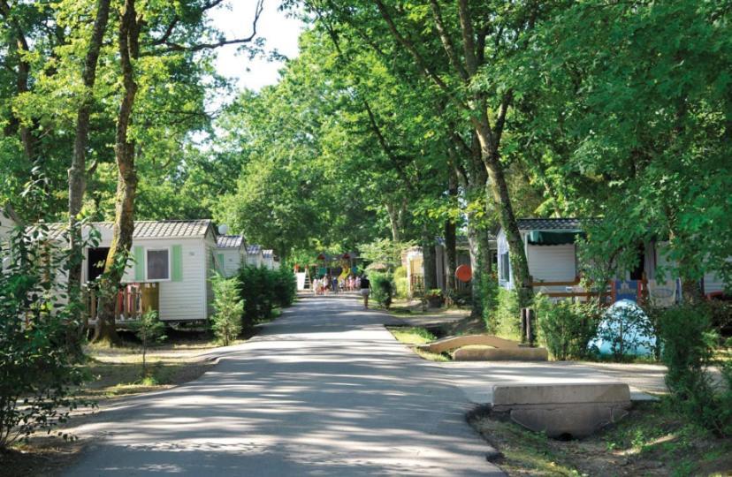 Mobil Home 6 Personnes Camping 4* Mimizan Aureilhan  Eksteriør bilde